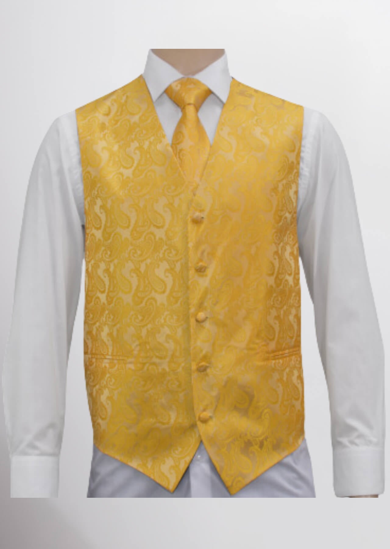 Men's Microfiber Paisley Vest