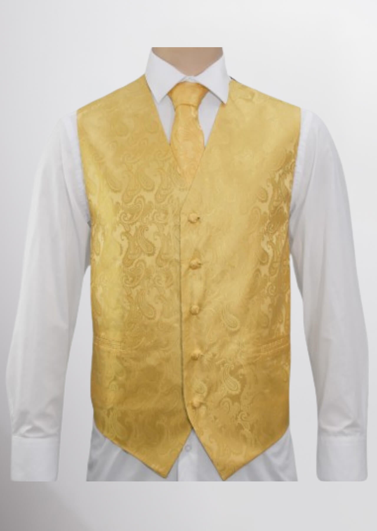 Men's Microfiber Paisley Vest