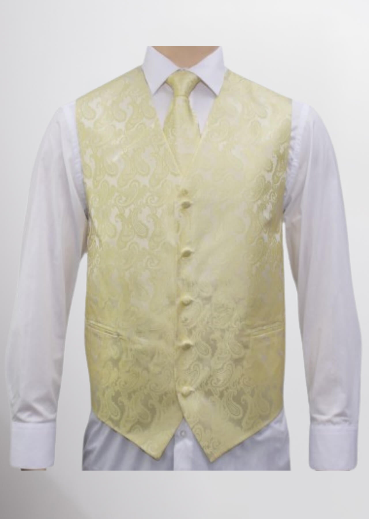 Men's Microfiber Paisley Vest