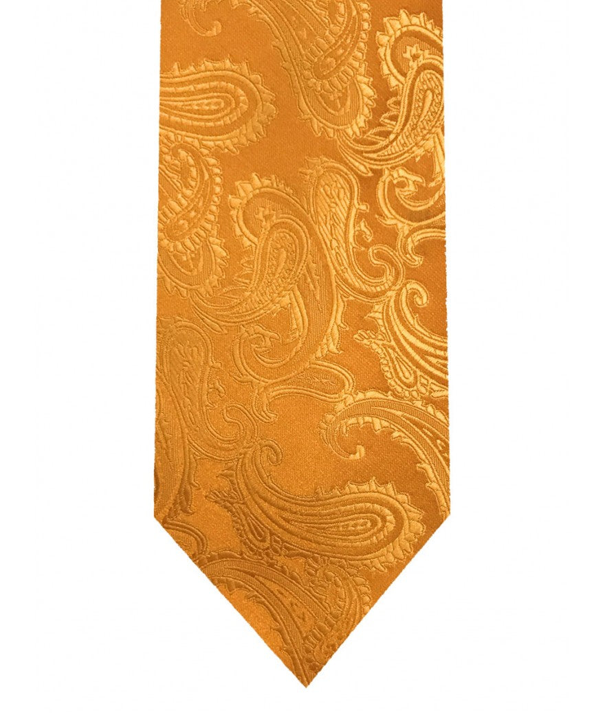 Paisley tie and pocket square set