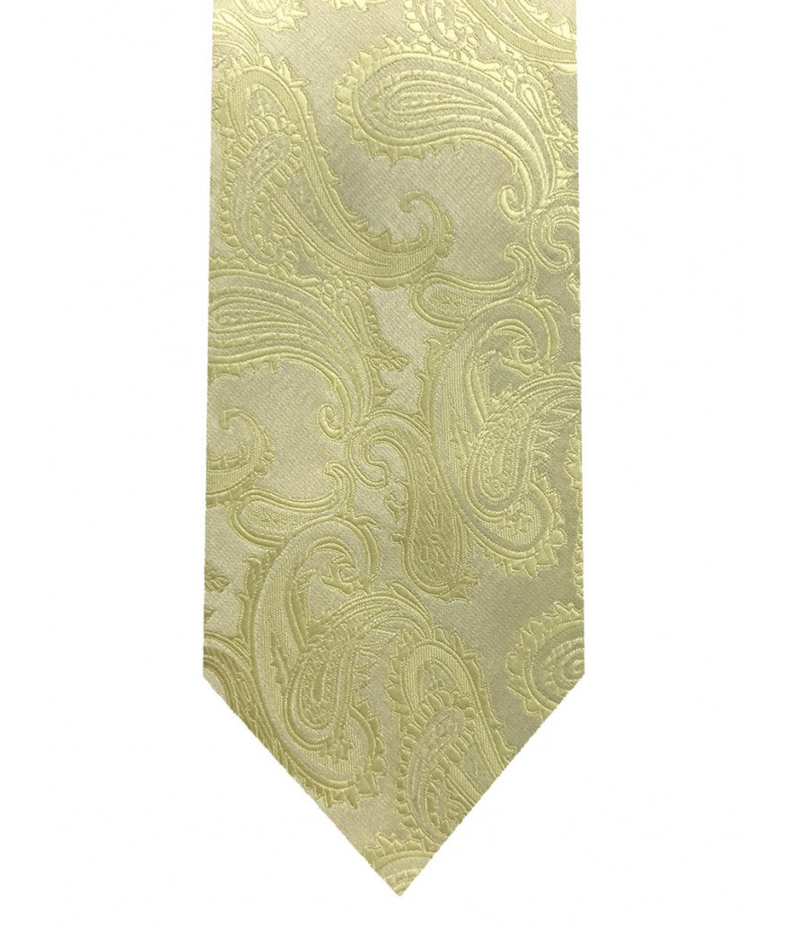 Paisley tie and pocket square set