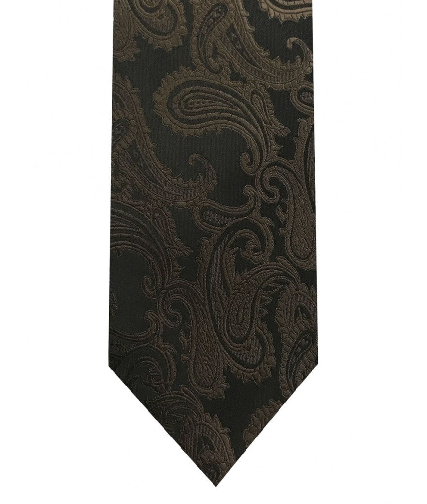 Paisley tie and pocket square set