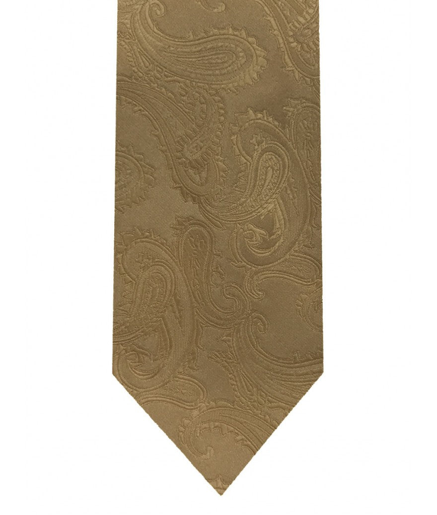 Paisley tie and pocket square set