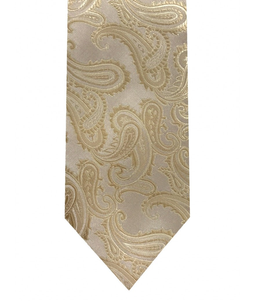 Paisley tie and pocket square set