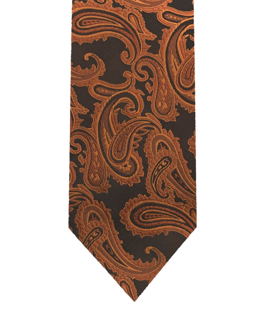 Paisley tie and pocket square set